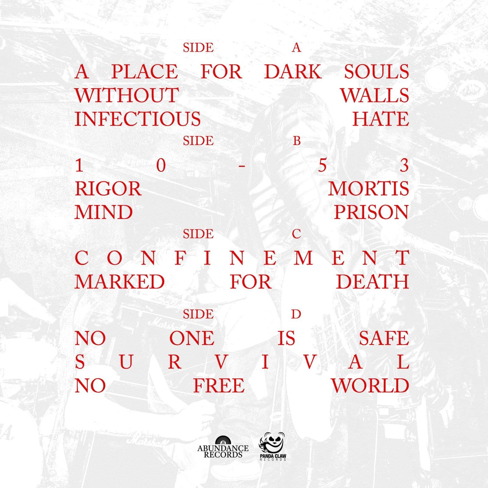 The back cover: the track list in red capitals, split into sides A to D, over a washed-out photograph of the band on stage, with the Abundance Records and Panda Claw Records marks at the foot.